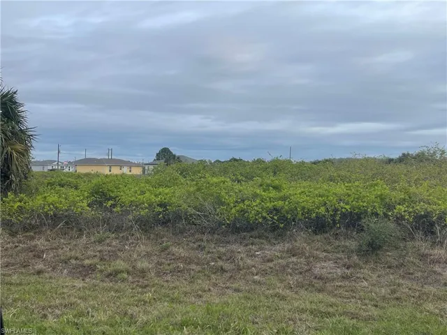 View of undeveloped land