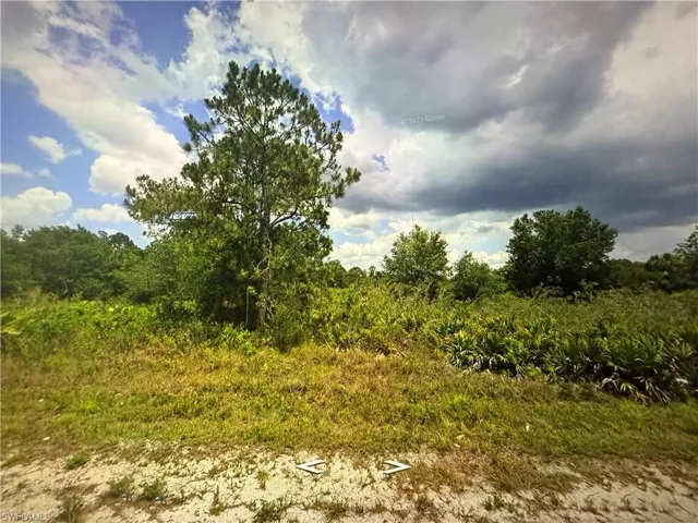 View of local wilderness