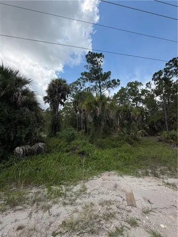 1723 Palmetto Ave, Lehigh Acres, Florida 33972