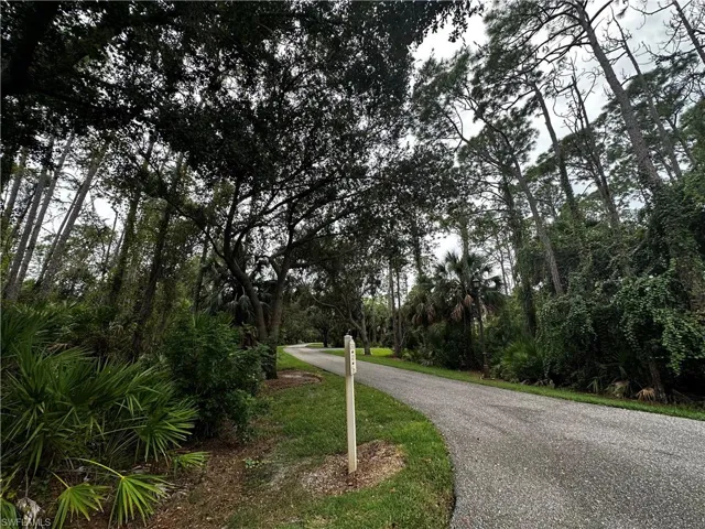 WINDING ROADS ENSCONCED IN NATURE