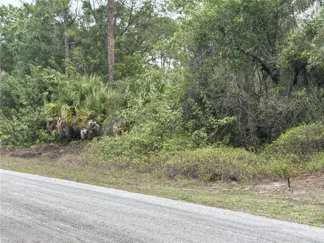 The property features dense natural vegetation, including mature trees and palm foliage, bordering a paved road