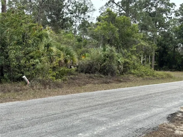 The property features a natural landscape with extensive vegetation and mature trees, bordering a paved road