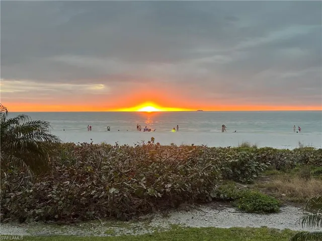 Seagrapes and Sunset