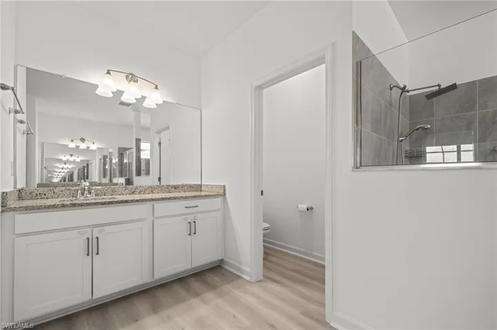 Bathroom featuring a walk in shower, wood finished floors, and vanity