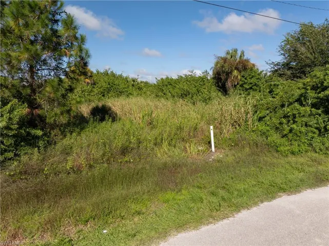 Vacant parcel featuring native vegetation, mature trees, and established greenery