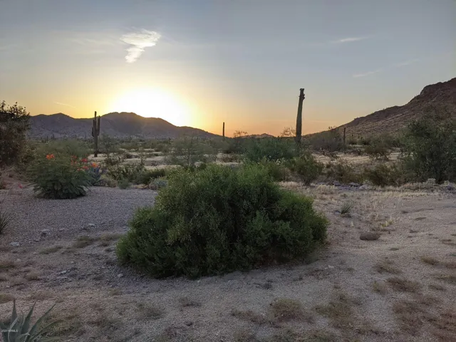 780