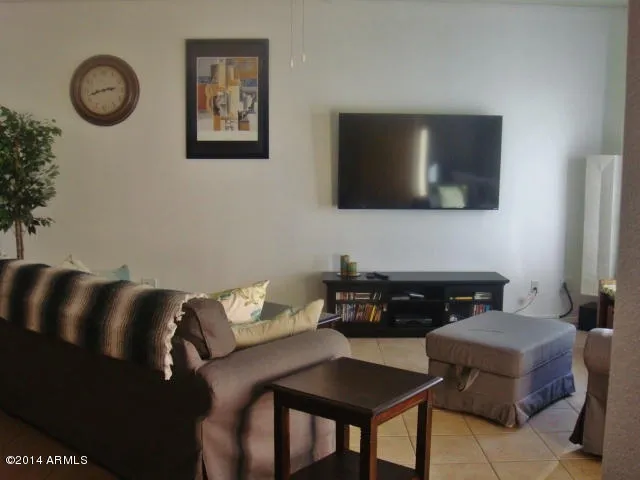 Flat-screen TV