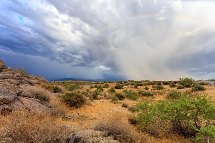 Monsoon season on the desert...