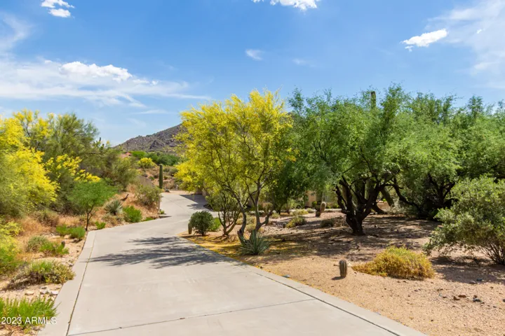 Driveway