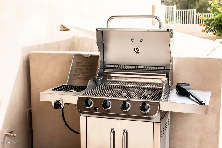 Propane grill