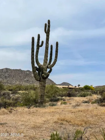 780