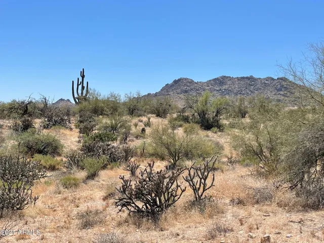 780
