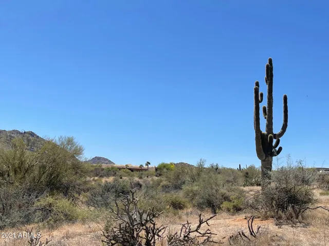 780