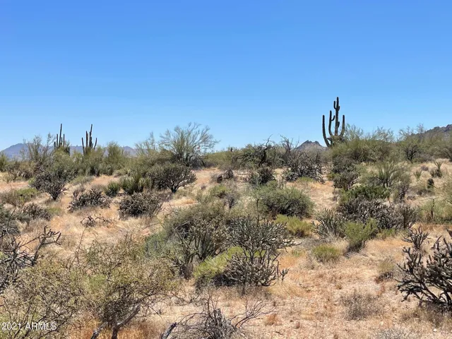 780