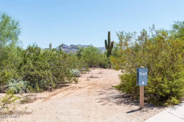Walking Trails throughout the community
