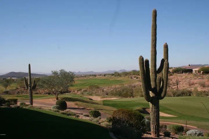 Persimmon #9