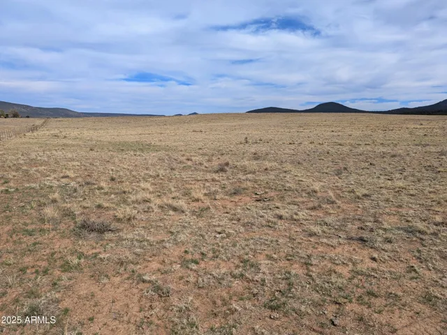 349 S ZACHARIAE RANCH  Road, Young, AZ 85554