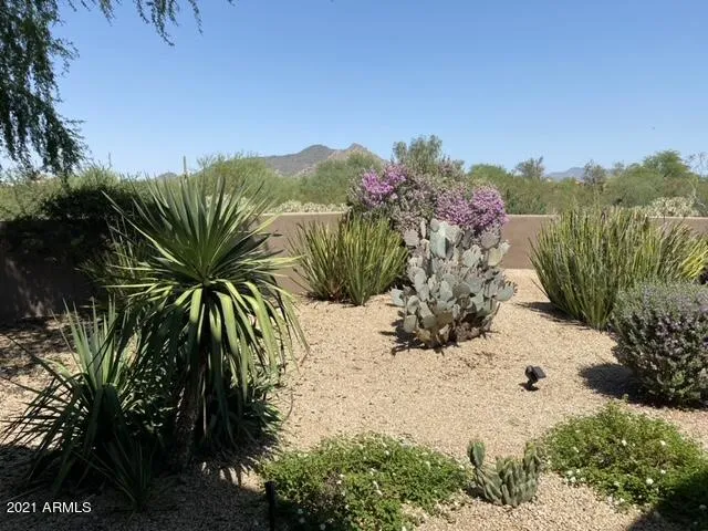 780
