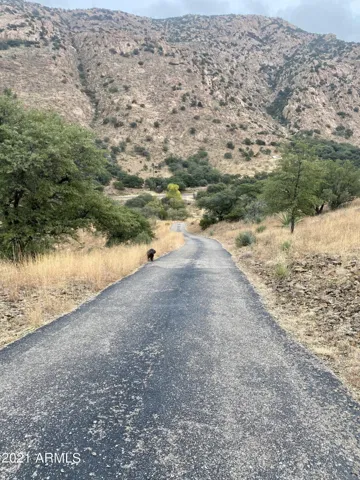 780