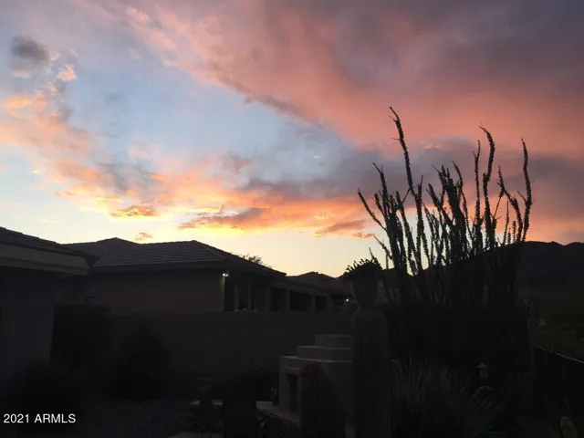 Incredible Sunsets!