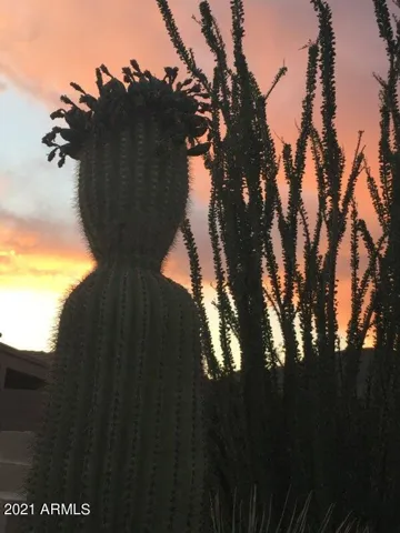 Beautiful Arizona Skys!