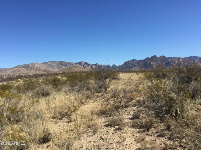 BUTTERFIELD STAGECOACH TRAIL TRAVERSES THE RIDGE!