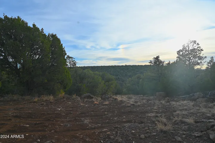 51844 N CORDERO  Road, Seligman, AZ 86337