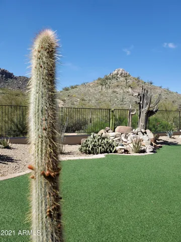 780