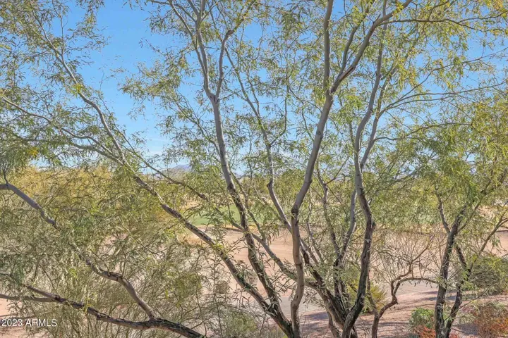 780