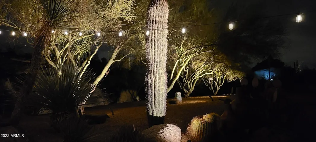 780