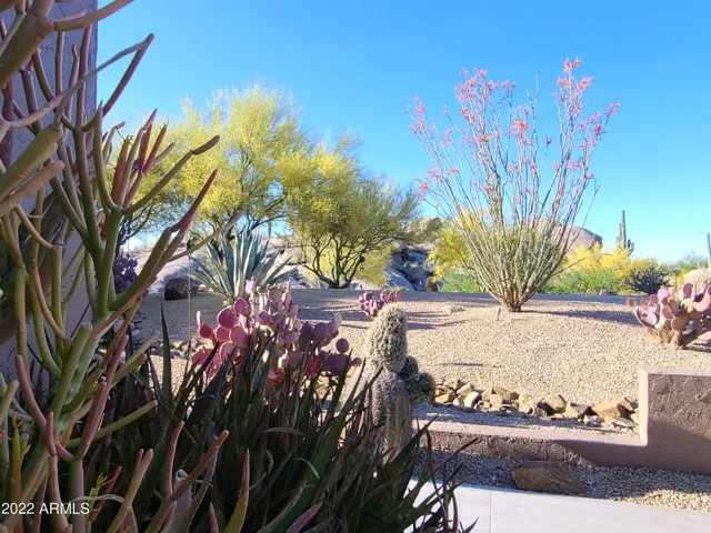 780