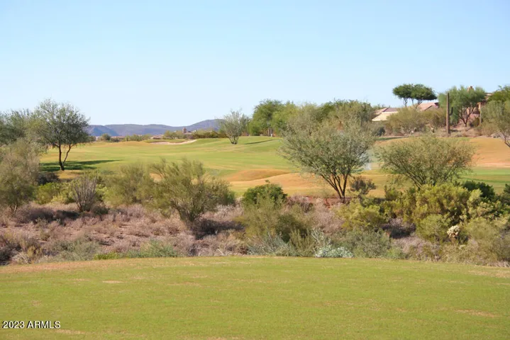 Desert Golf - Persimmon #15