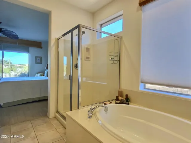 Primary Bath with Separate Soaking Tub and Walk-In Shower