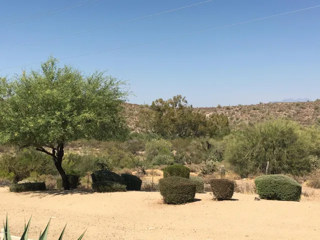 780