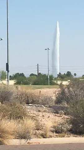 780