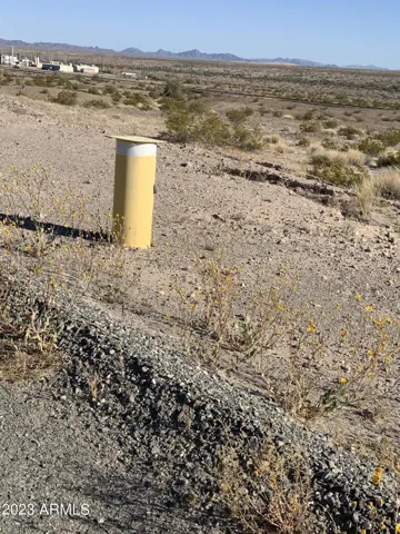 780