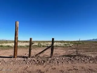 780