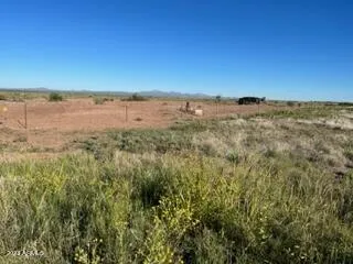 780