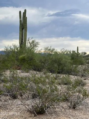 780