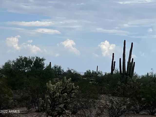 780
