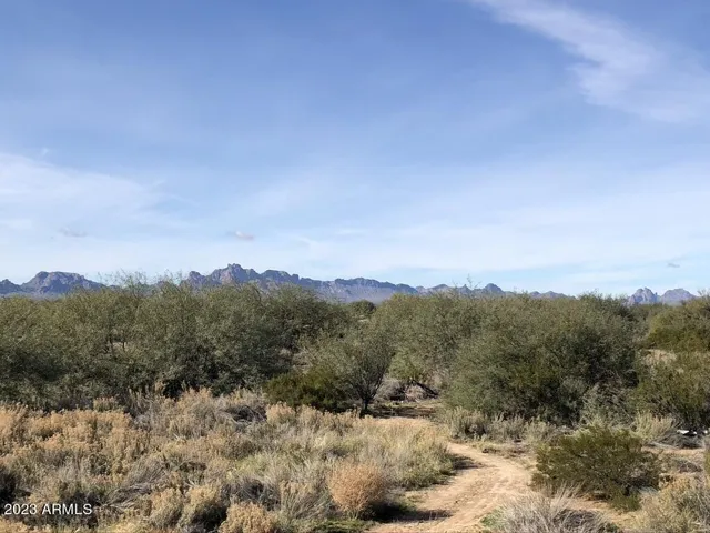 780