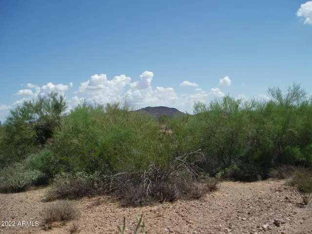 780