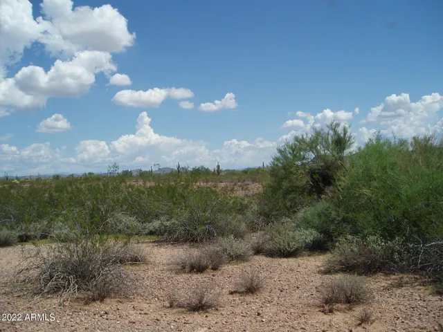 780