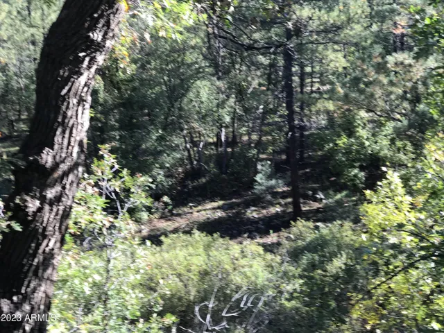 Back toward creek