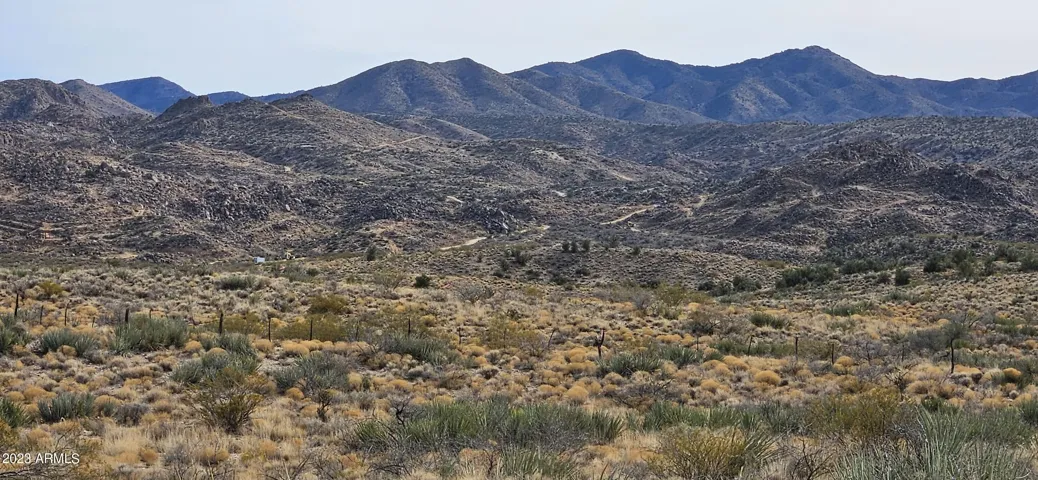 780