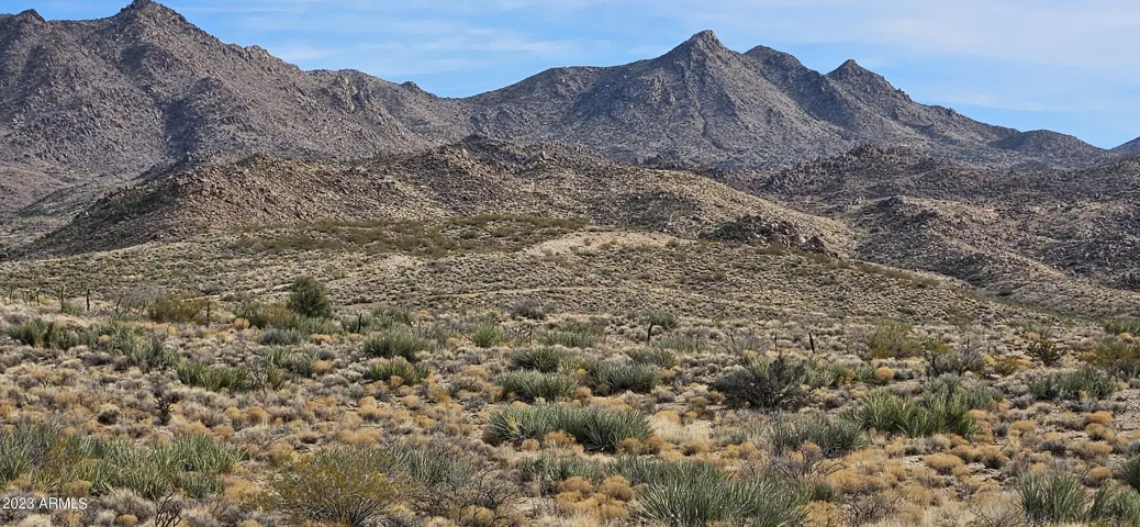 780