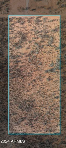 780