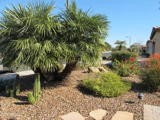 Mature Landscaping
