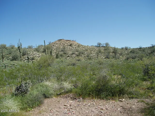 780