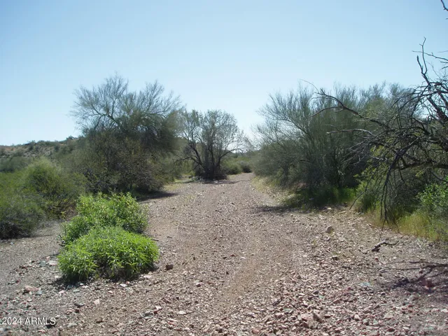 780